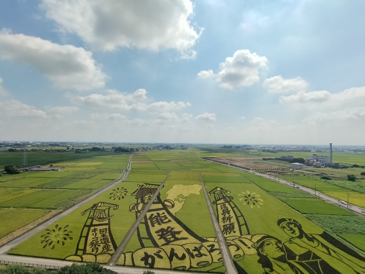 田んぼアートin行田2024