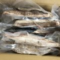 愛南町のふるさと納税返礼品でいただいた鰹のタタキ