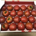 ふるさと納税の返礼品でいただいた桜川市のスーパーフルーツトマト